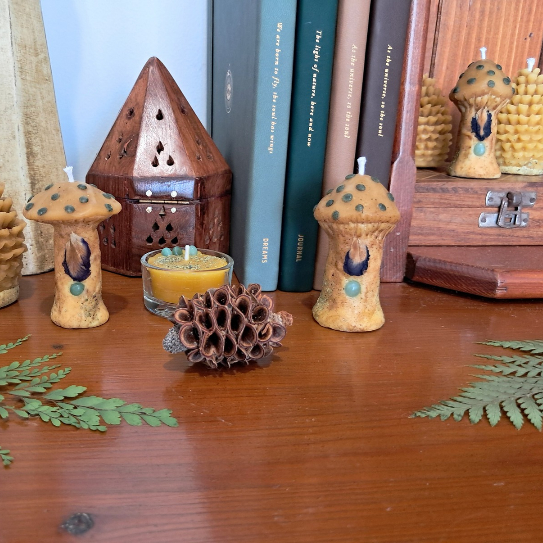 'The Mystic's Forest' Gift Box